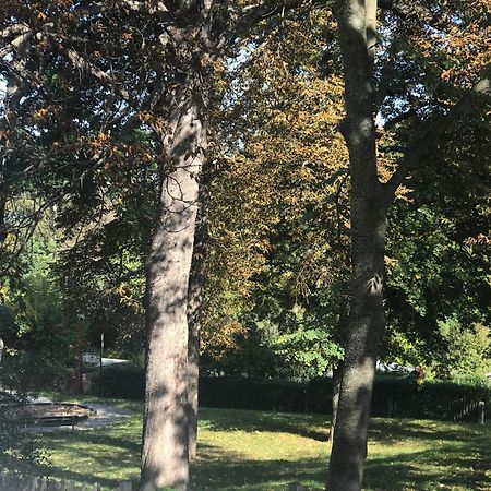 Ferienwohnung Domizil Eutschuetzgruen Bannewitz Exterior foto