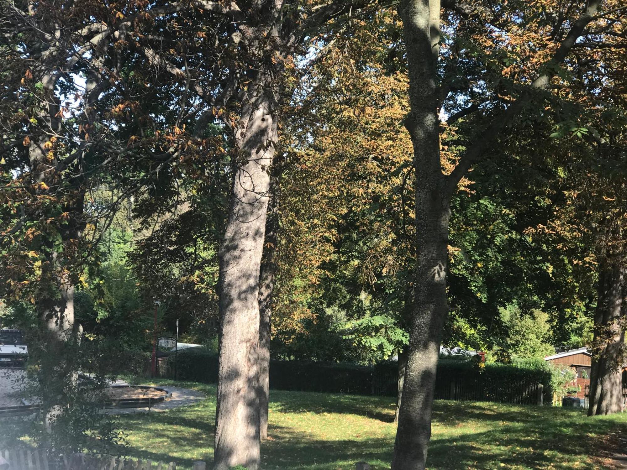 Ferienwohnung Domizil Eutschuetzgruen Bannewitz Exterior foto